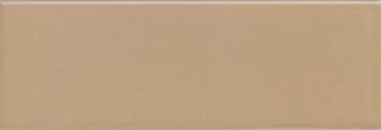 Jungle Earth 10х30